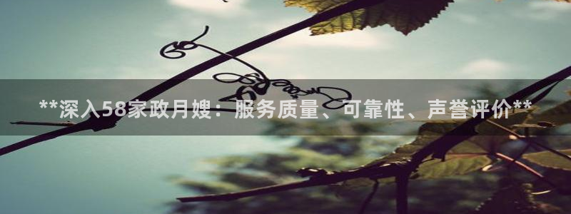 杏悦是什么平台