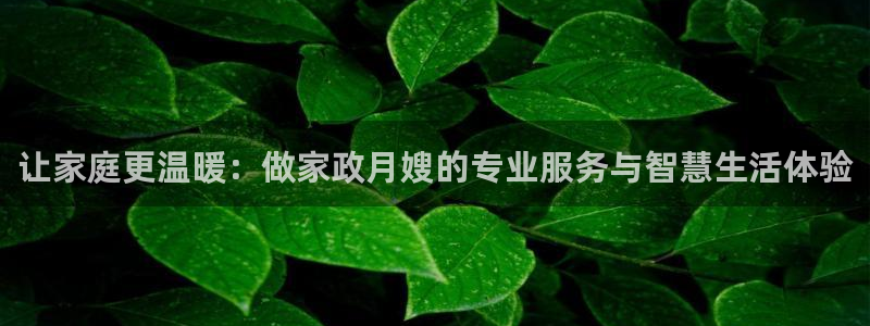 杏悦平台代理注册