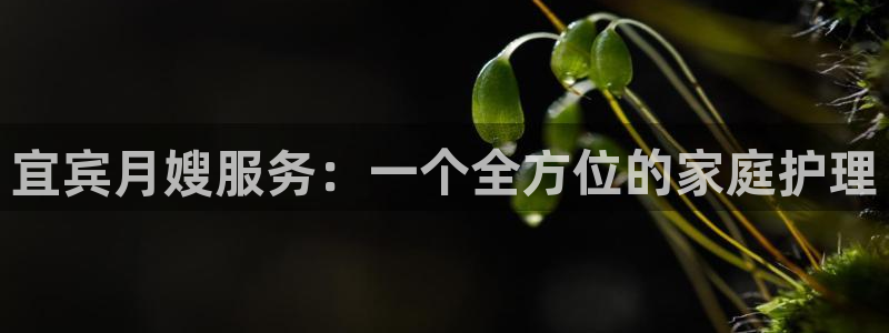 杏悦是什么