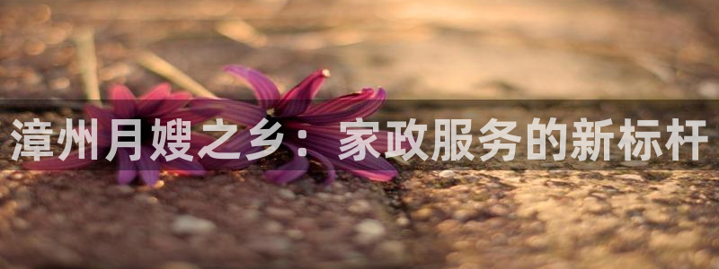 杏悦平台登录网址是多少