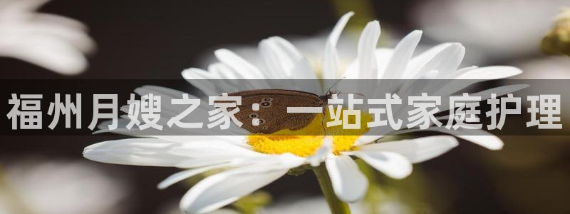 杏悦t首选推荐平台