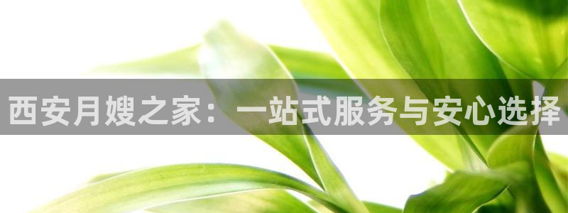 杏悦平台登录入口官网