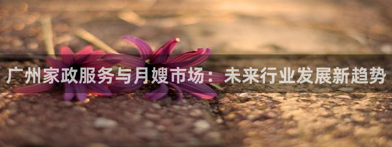 杏悦平台代理怎么样赚钱