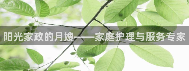 杏悦平台代理怎么样啊