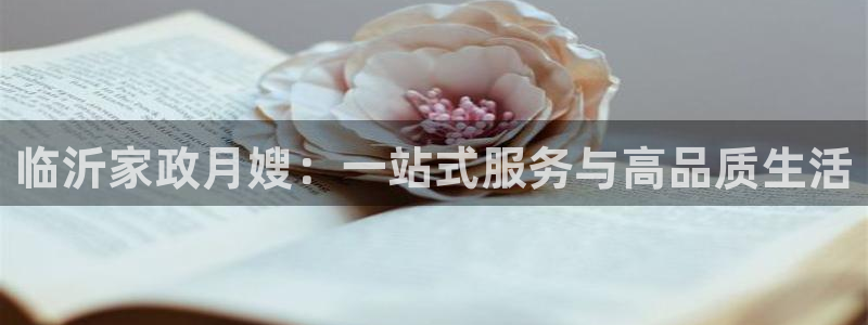 杏悦平台登录入口官网