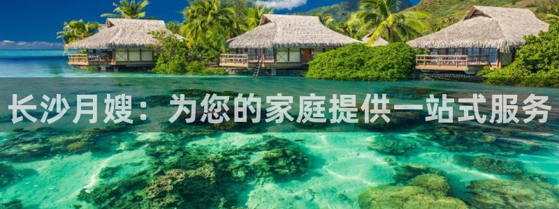 杏悦平台代理注册