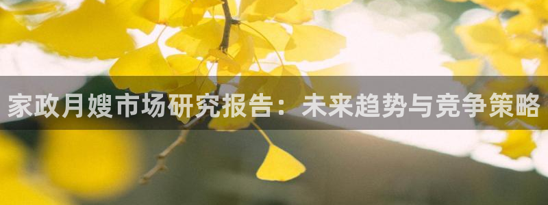 杏悦平台代理注册要钱吗