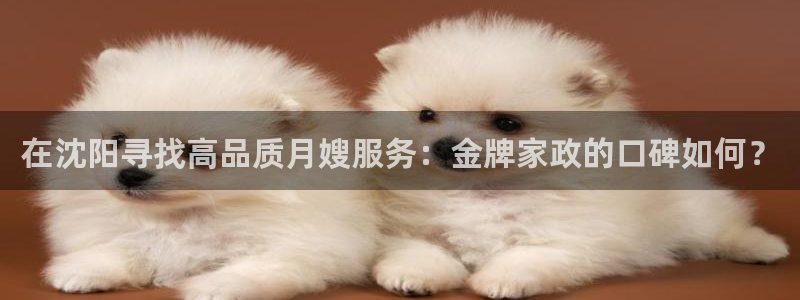 杏悦平台注册网址