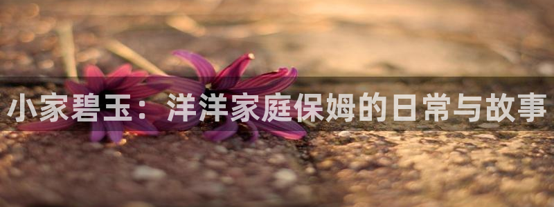 杏悦官方平台官网入口