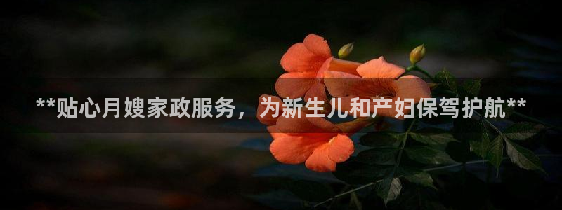 杏悦平台代理怎么做