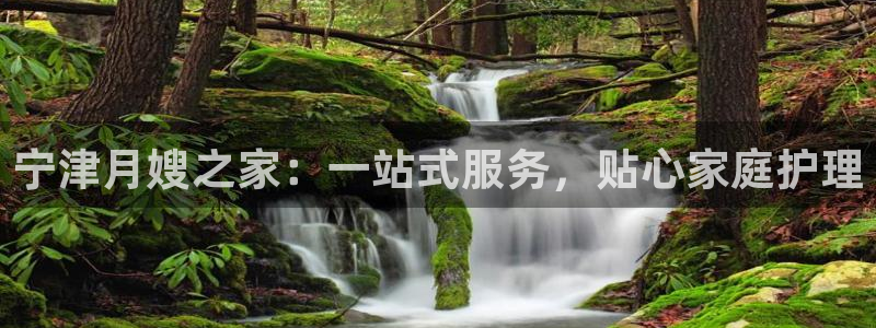 杏悦平台代理怎么赚钱快