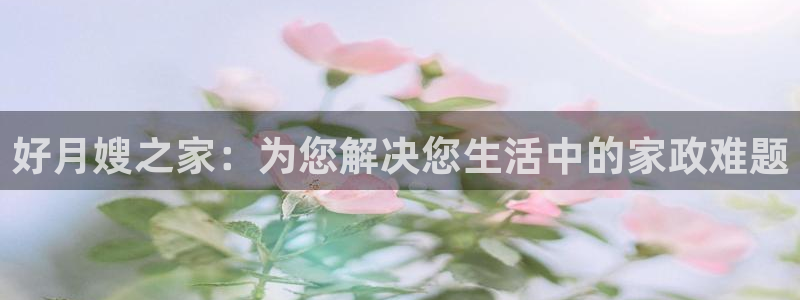 杏悦平台代理注册流程