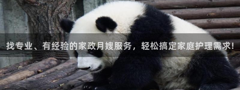 杏悦平台招商怎么样