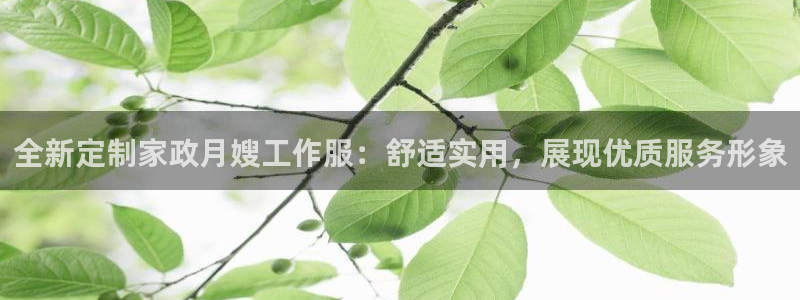杏悦官方平台官网下载