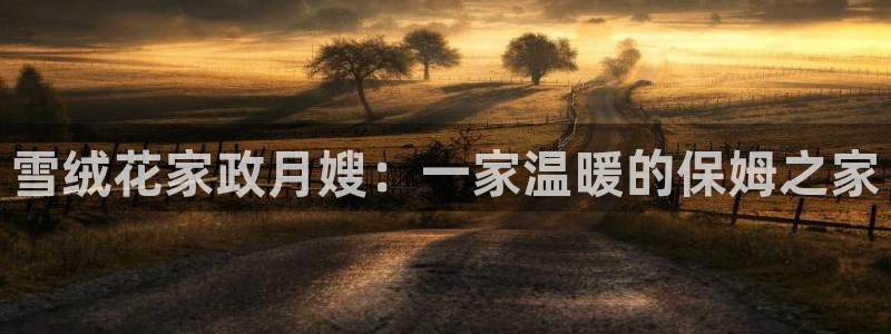 杏悦官网注册信息查询