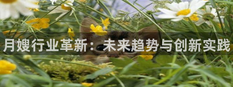 杏悦平台代理多少钱