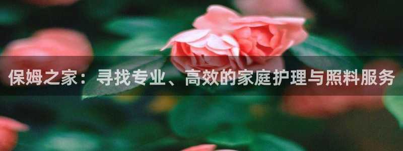 杏悦平台招商电话