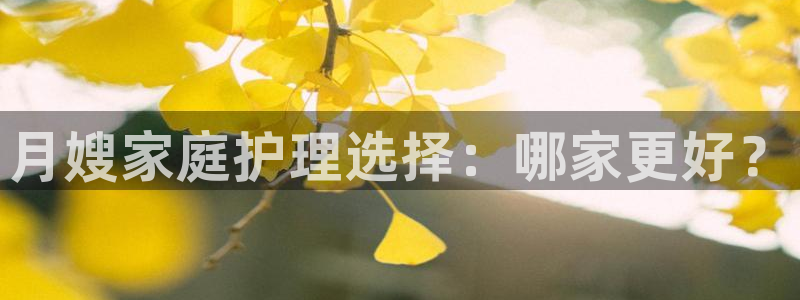 杏悦平台登录地址在哪里