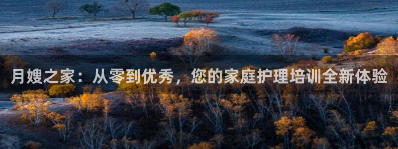 杏悦官网注册信息是什么样的