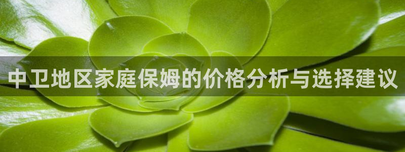 杏悦娱乐是什么