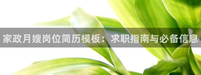 杏悦主管
