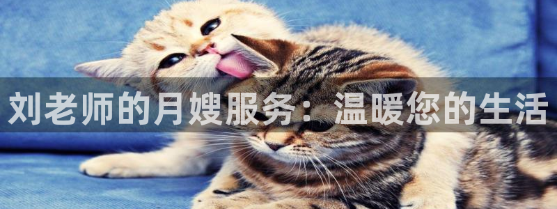 杏悦官网注册信息在哪里查看