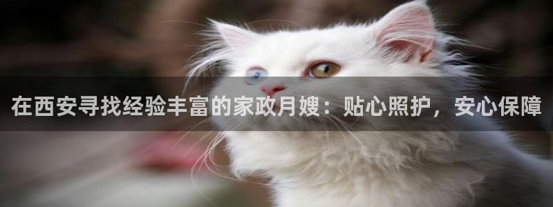 杏悦平台登录网址查询