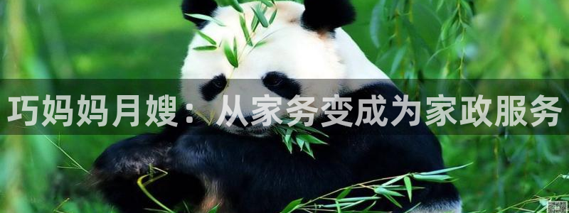 杏悦官网注册信息在哪里找