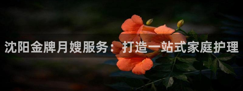 杏悦是什么平台