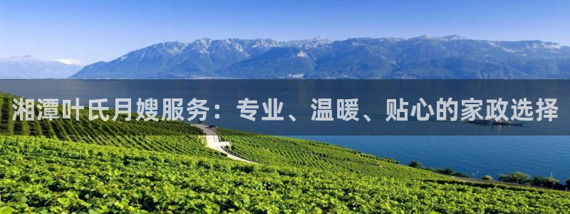 杏悦平台登录入口官网