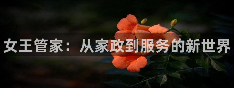 杏悦平台代理注册