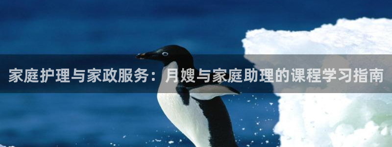 杏悦平台登录地址是什么