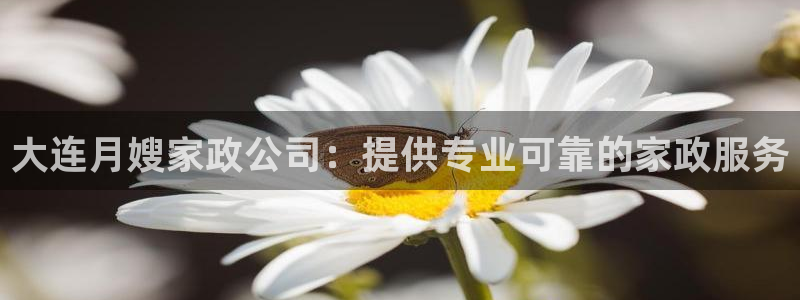 杏悦平台代理怎么做