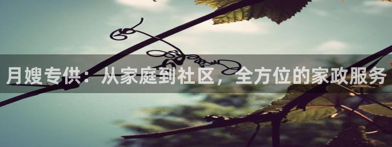 杏悦t首选推荐平台