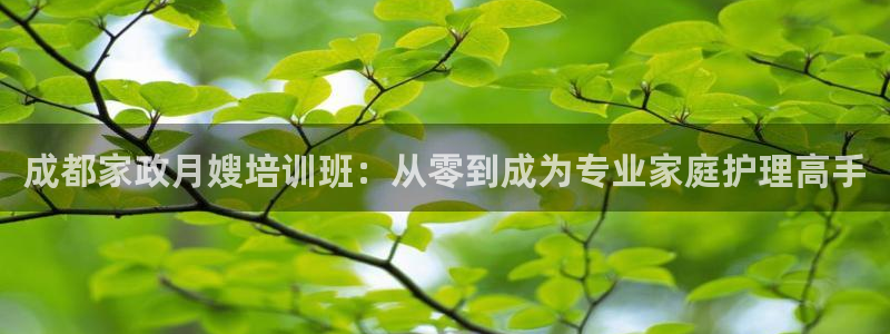杏悦平台官网注册