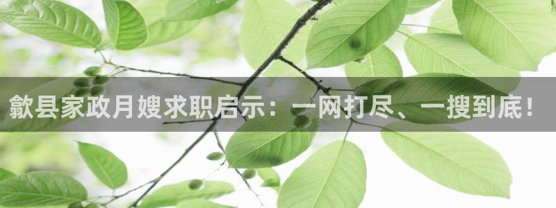 杏悦平台注册网址