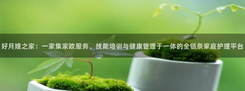 杏悦平台代理注册要钱吗