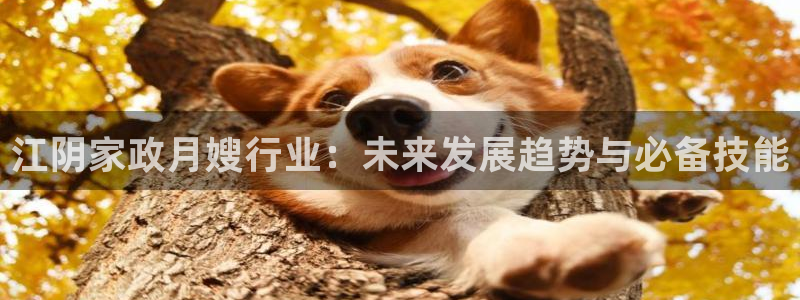 杏悦平台代理怎么样