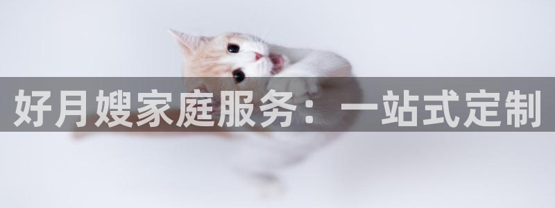 杏悦平台招商怎么样