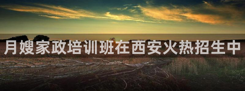 杏悦平台可靠吗