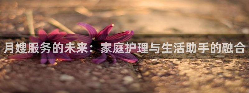 杏悦登录网址是什么