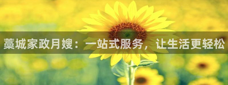 杏悦平台代理注册流程