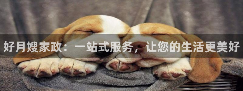 杏悦平台代理怎么样