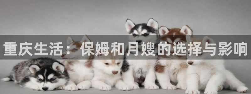 杏悦平台代理怎么样啊