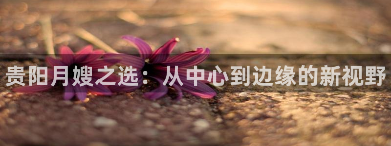 杏悦平台登录地址在哪里