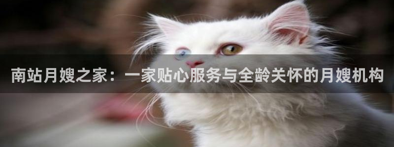 杏悦平台登录入口官网