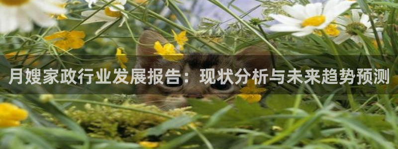 杏悦官方平台是正品吗