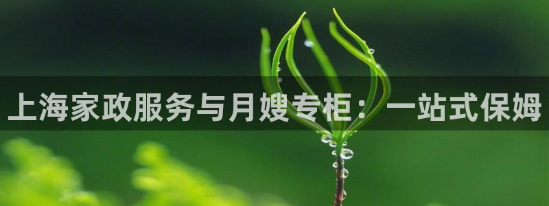 杏悦平台开户地址